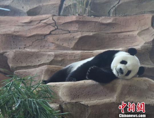 D鄂ġաu z