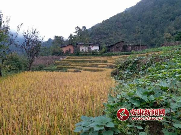 �{(di��o)����С mmexport1508136770513.jpg