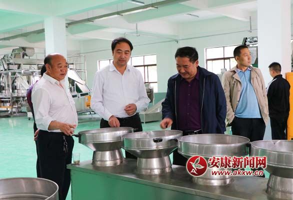 參觀平利茶企.jpg
