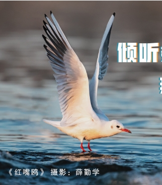 A ^L(fng) ǵ}(dng)